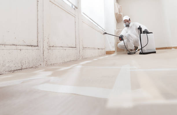 24/7 Emergency Mold Remediation experts in Freehold, NJ