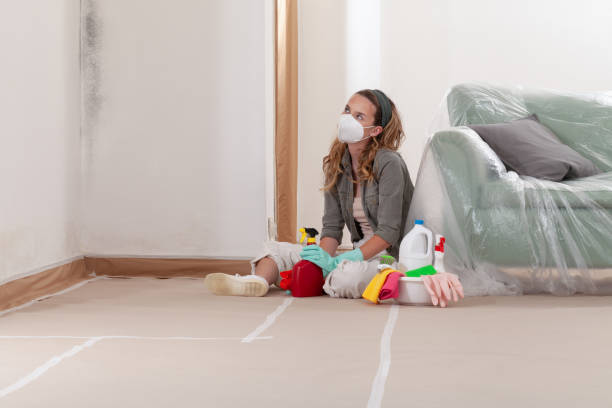 Reliable Mold Remediation contractor in Freehold, NJ by 24 Hour Mold Removal